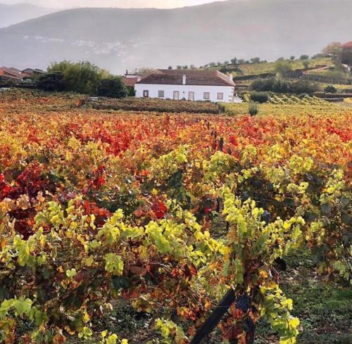 Foto general de Casa Rural Morgadio da Calcada