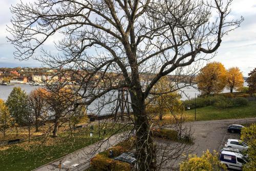 Surrounding area – Ersta Konferens &amp;amp; Hotell