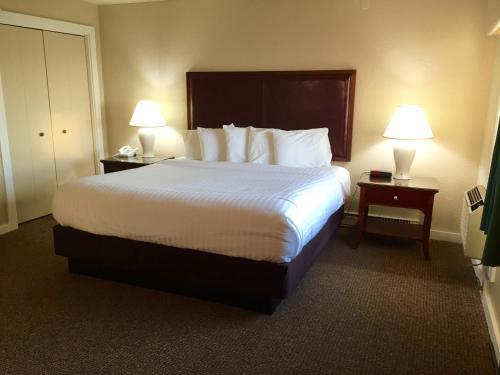 Room – Hotel The Beach Haus - Traverse City