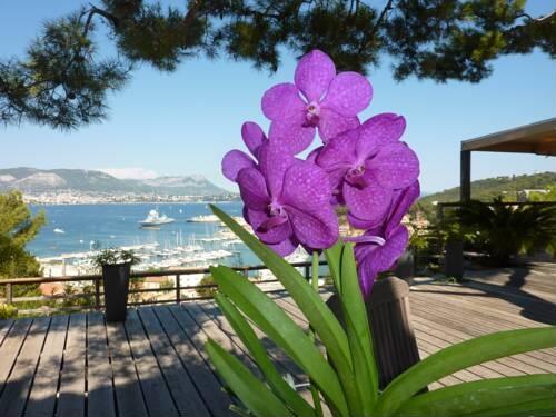 Foto general de Bed-and-Breakfast Home6