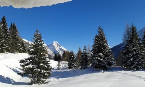 Photo – Appartements Tyrol