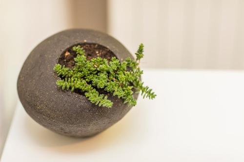Foto de una habitación de Auberge de la Cauquiere
