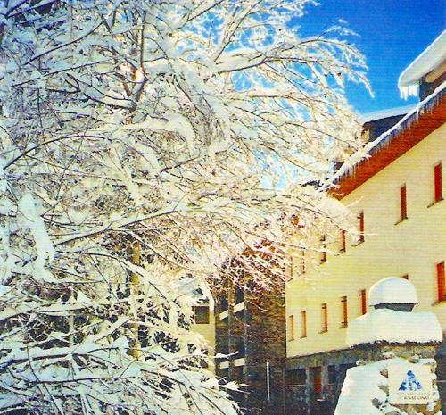 Foto del exterior de Alberg La Molina Xanascat