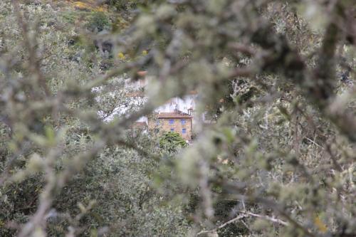 Foto general de Bed-and-Breakfast Campus Natura