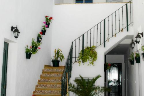 Foto general de Casa Pacheco
