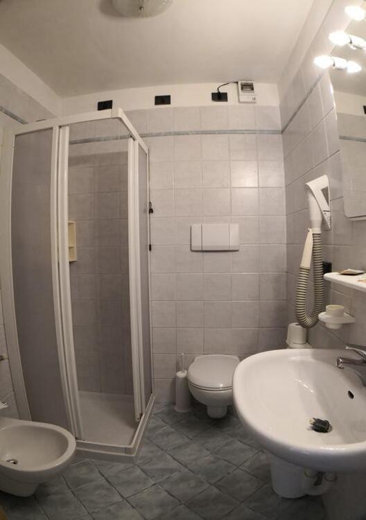 Foto general de Hotel Alpenrose