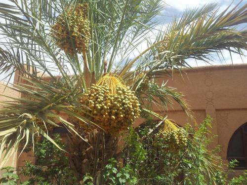 Surrounding area – Bed-and-Breakfast Maison D&amp;#039; hôtes Ait Hmid