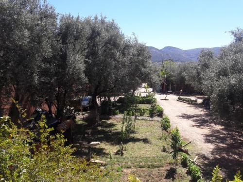 Foto de una habitación de Hotel France Ouzoud
