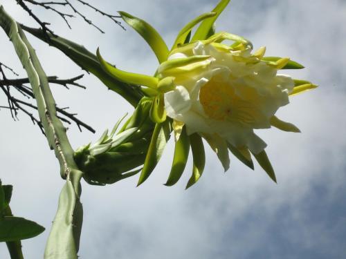 Foto general de Posada El Jardin