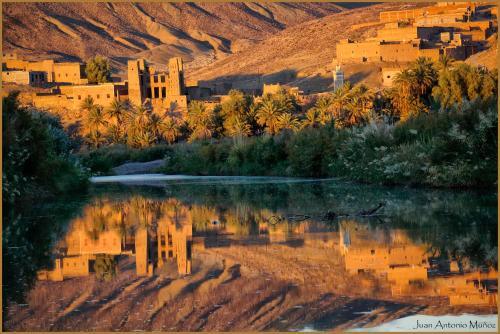 Photo – Lodge Hara Oasis