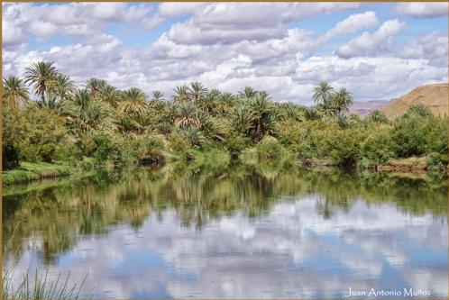 Photo – Lodge Hara Oasis