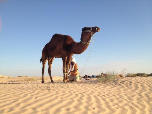 Foto de una habitación de Casas y chalets Maison Proche De Desert