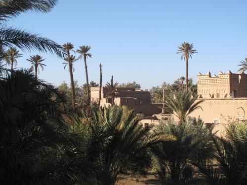 Foto del entorno de Gite Kasbah La Palmeraie