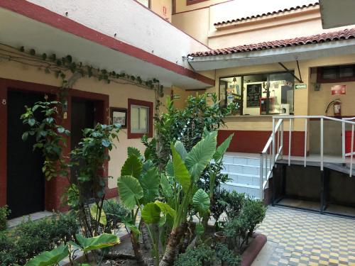 Foto general de Hotel Gallo Rubio