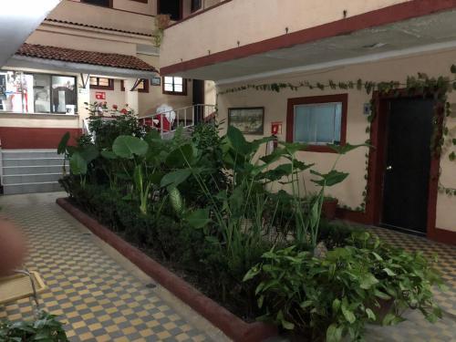 Foto de los servicios de Hotel Gallo Rubio