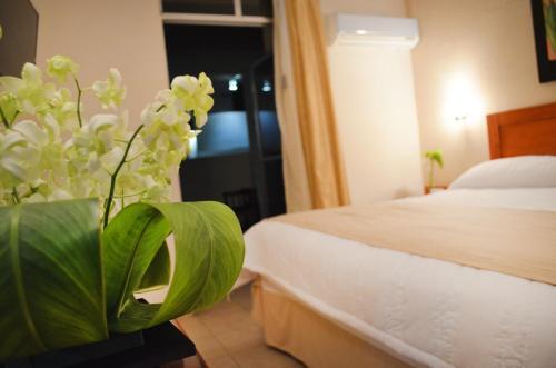 Foto de una habitación de Hotel Mesón de la Chinantla