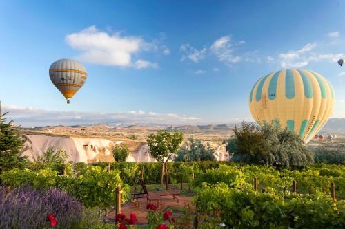 Foto general de Hotel Ariana Sustainable Luxury Lodge - Special Category - Cappadocia