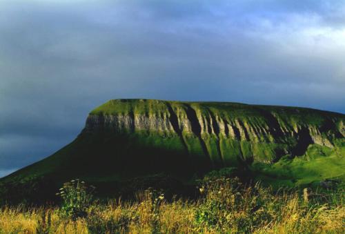 Foto del entorno de Murphy&amp;#039;s Hotel