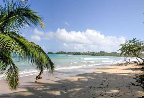 Foto general de Hotel Turtle Lagoon Beach