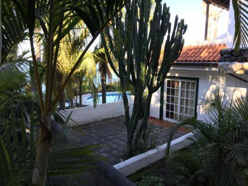 Foto general de Apartamentos y Bungalows Finca Colón