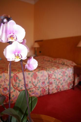 Foto de una habitación de Hôtel Aletti Palace