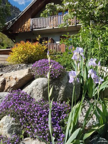 Foto general de Chalet Solneige