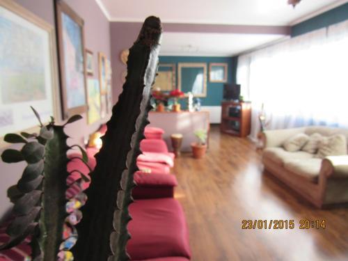 Foto general de Hostal Boutique 180 Grados