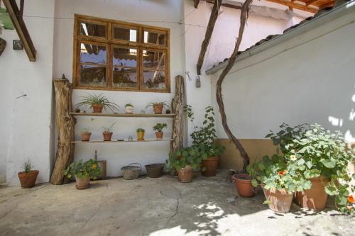 Foto general de La Trapería Hostal - Pensión con encanto
