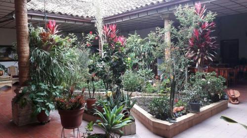 Photo – Hotel Real