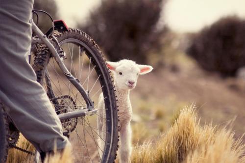 Photo – EOLO Patagonia Spirit - Relais &amp;amp; Chateaux