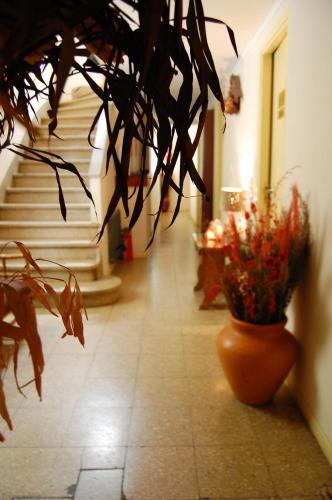 Photo – Hotel del Paseo