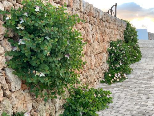 Foto general de Agroturismo Llucasaldent Gran Menorca - Adults Only