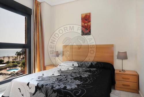 Foto de una habitación de Apartamentos Paraíso Florida - BenidormParaíso