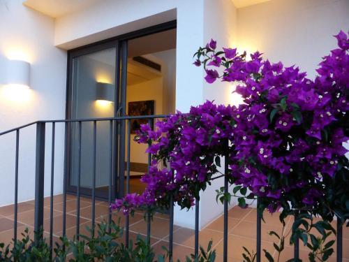 Foto general de Hotel Sol Ixent