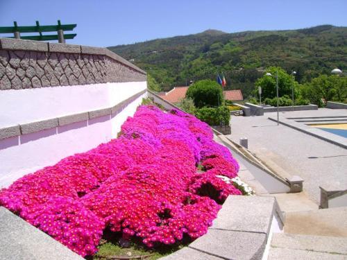 Foto general de Miradouro da Serra