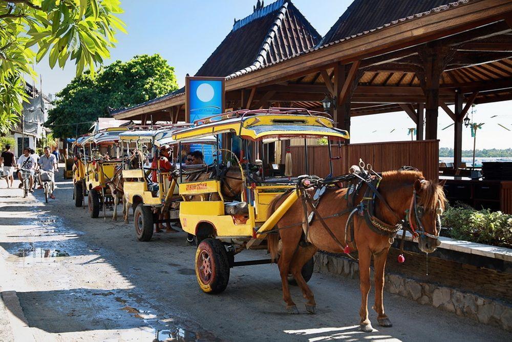 Foto general de Hotel PinkCoco Gili Trawangan