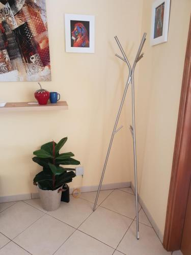 Foto general de DOWNTOWN-Guest House