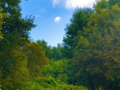 Foto general de Pensión Blanco Conde