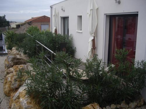 Foto general de Bed-and-Breakfast Entre Mer et Vignes