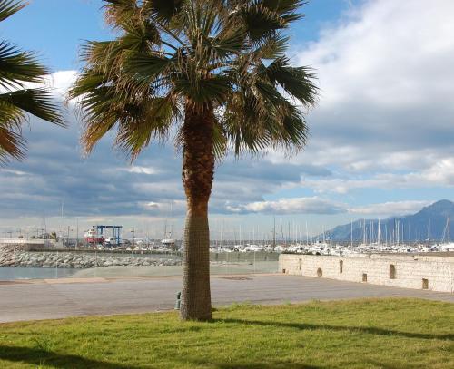 Foto general de Hotel Saint Joseph Resort