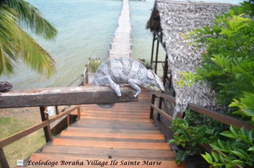 Foto general de Boraha Village Ecolodge