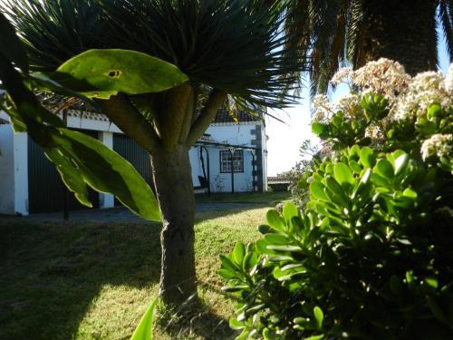 Foto de una habitación de Casas y chalets El Lagar de Piedra