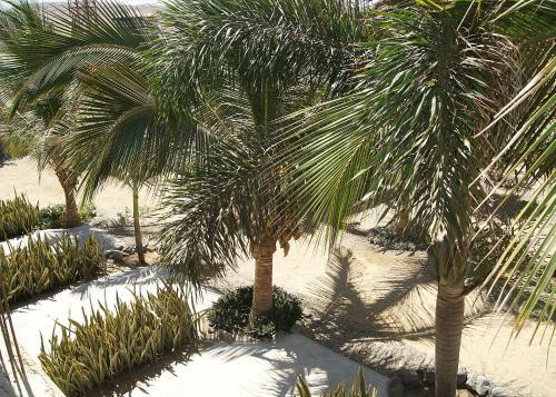 Foto general de Bed-and-Breakfast AquamarInn