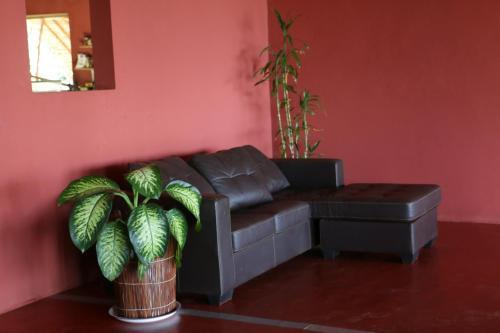 Foto general de Hotel Nautile
