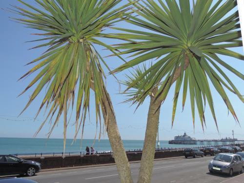 Foto general de Beach Front Guest House