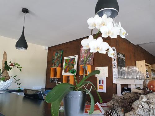 Foto general de Hotel Restaurant L&amp;#039;Espassole