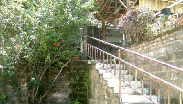 Foto de Hostel Tadeo San Juan del Sur