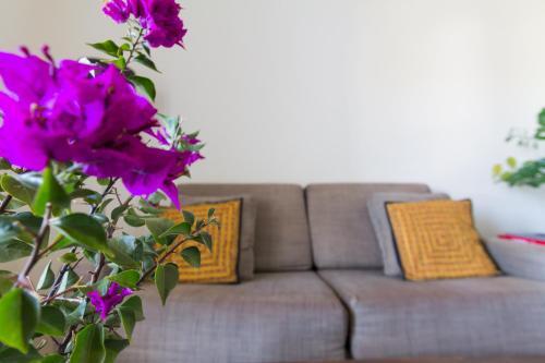 Foto de una habitación de Aparthotel Bitacora