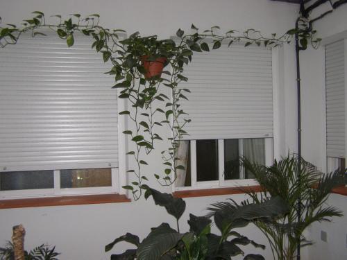 Foto general de Hostal Residencia Fernandez