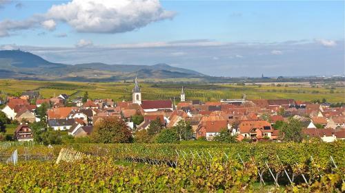 Foto de una habitación de Gîte du Vignoble